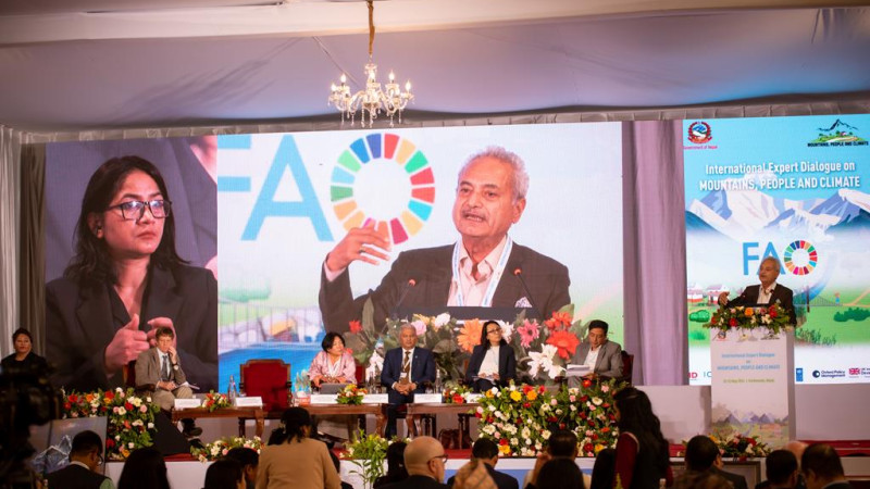 NTNC Chairperson at the panel on the 